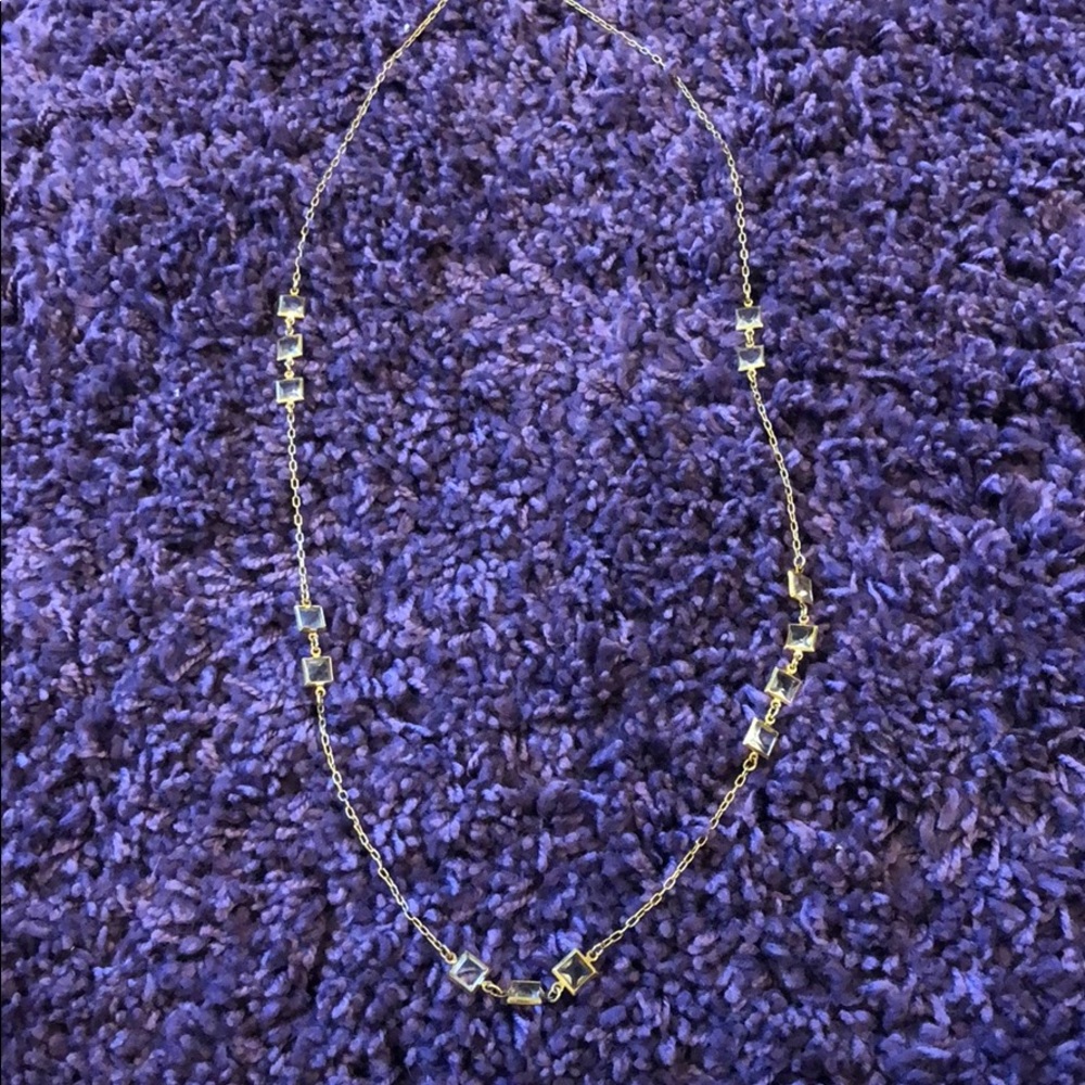 J Crew Long Crystal Station Necklace